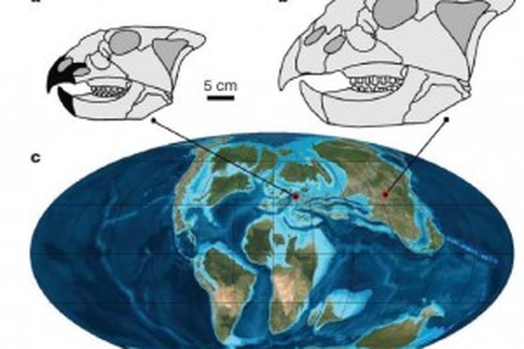 20110520083225new-ceratopsian-biogeography-300x235.jpg