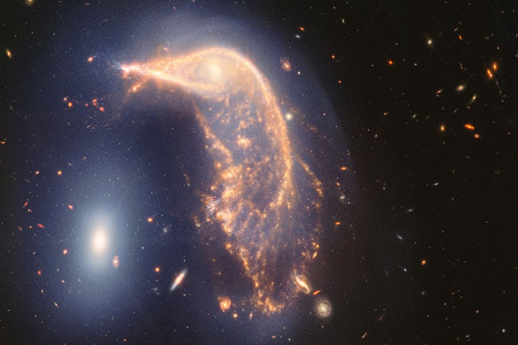 Galaxies that look like a penguin with an egg next to it