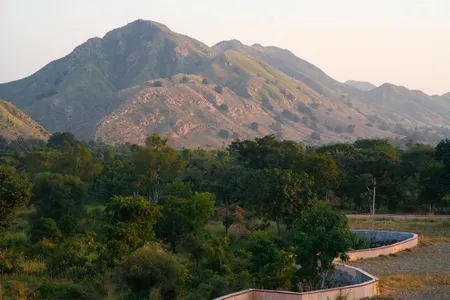 The cave paintings are located in the Aravalli mountain range in northwestern India.