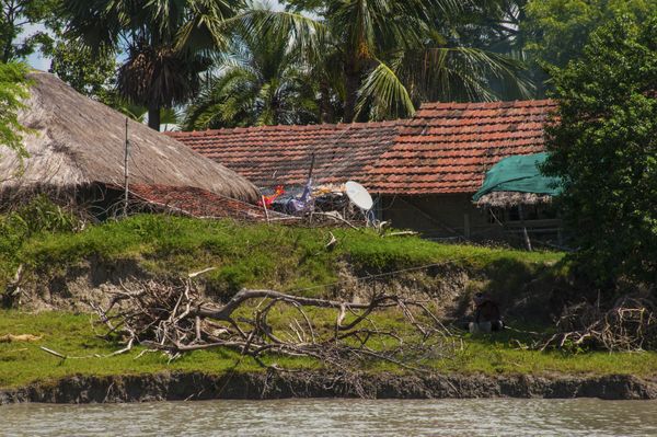 Erosion on the river bank near Sundarbans, threat for village nearby. thumbnail