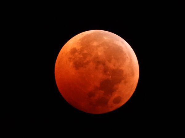 Lunar Eclipse Blood Moon through my Nikon P1000 camera thumbnail