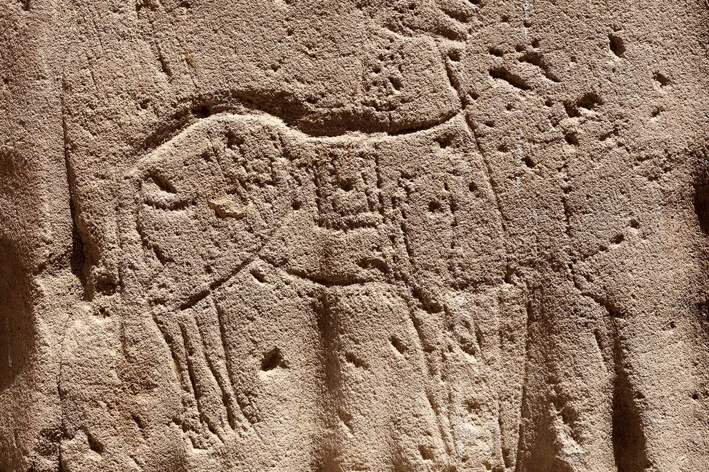 a horse shaped animal carved into a rock wall