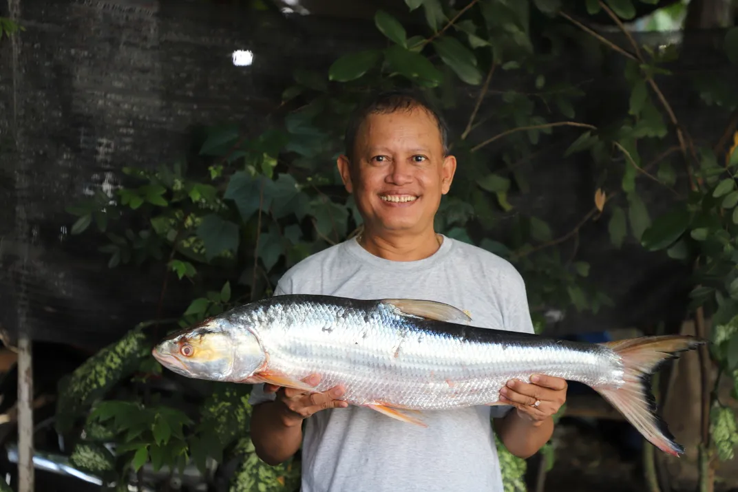 man holding a giant salmon carp