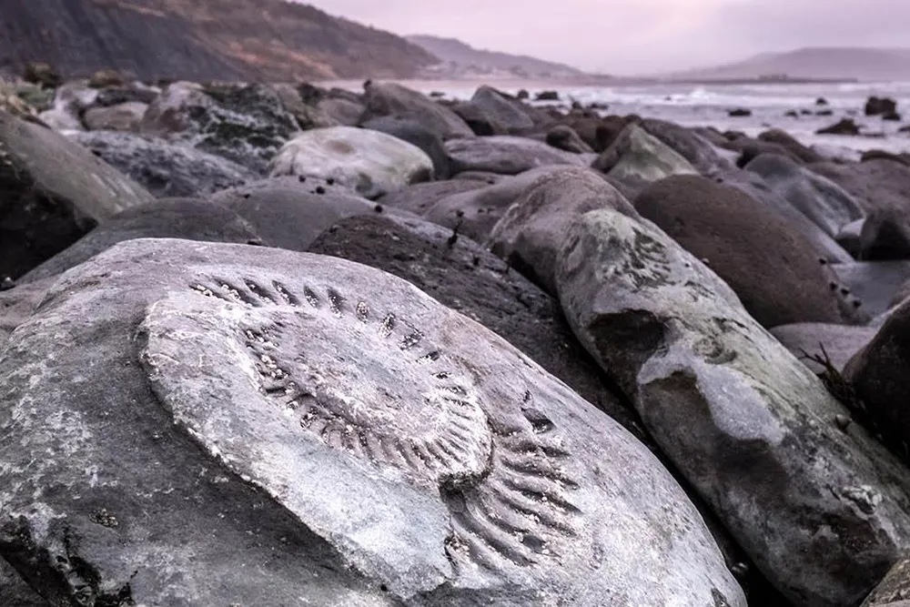 Jurassic Coast header.jpg