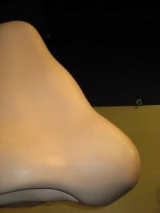 20110520102359nose-225x300.jpg