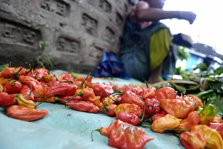 A vendor displays chili peppers at a local market in India.&nbsp;