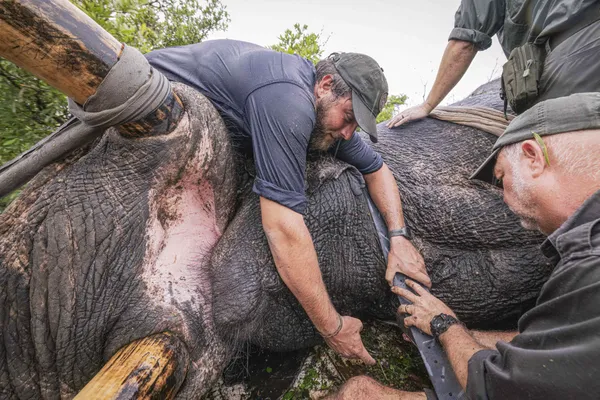 Giant Work thumbnail