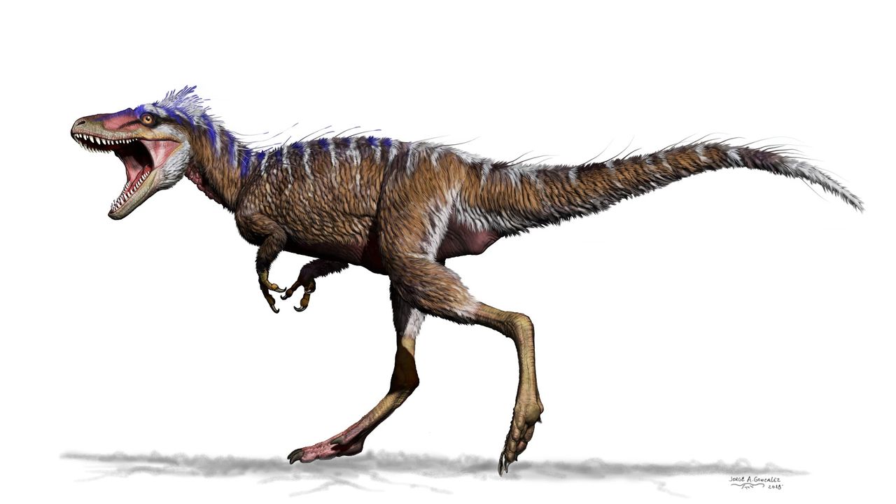 Different Types Of Rex Dinosaurs