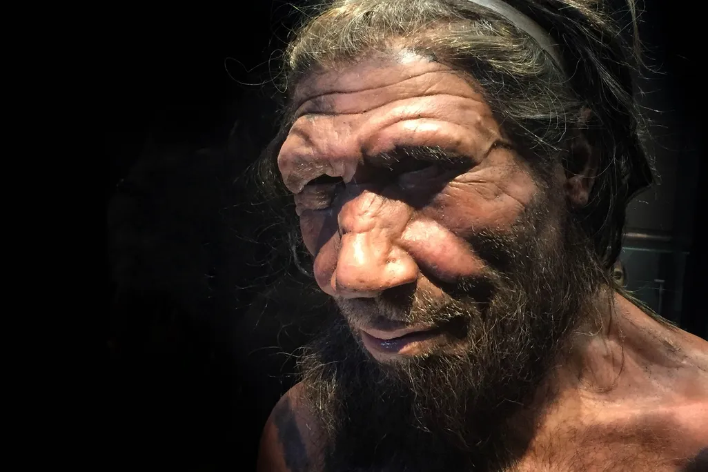 Neanderthal