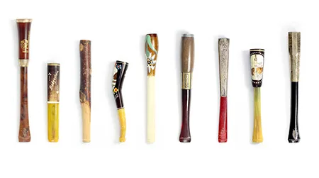 Photography by Diana Zlatanovski. Harvard Museum of Comparative Zoology malacology collection.