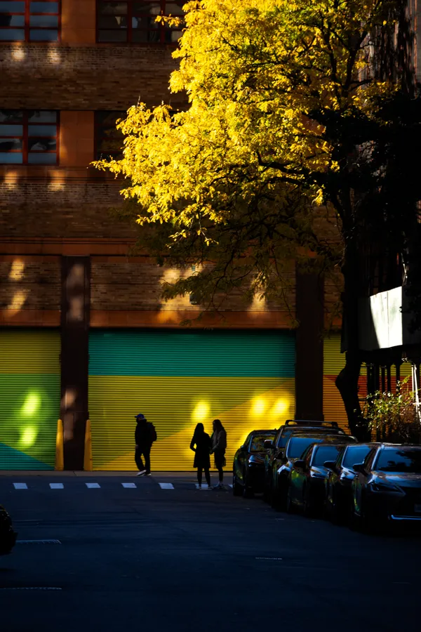 SoHo Silhouette #2 thumbnail