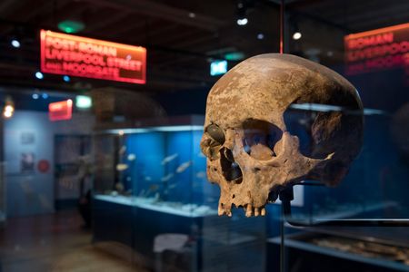 The 500 artifacts featured in "Tunnel: The Archaeology of Crossrail" offer insight into millennia of the region's history—from Mesolithic tool makers  to those affected by the Great Plague of 1665.