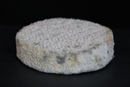 Cheese made from human toe bacteria