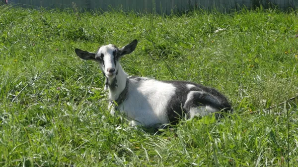 Looks pretty confused thumbnail