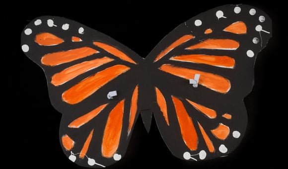 DACA monarch butterfly sign