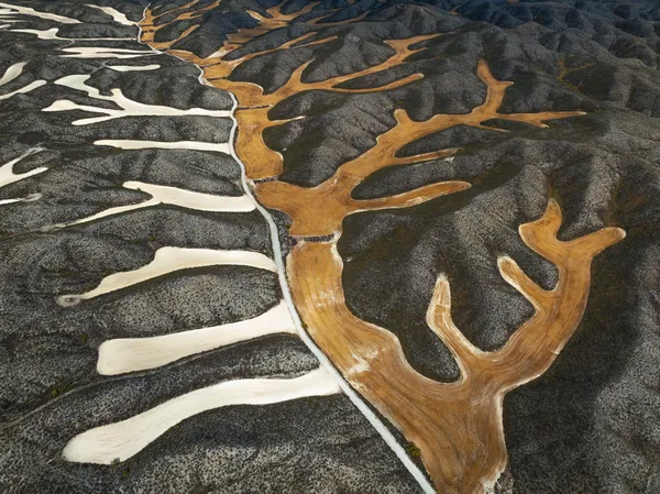 Bones of Earth thumbnail