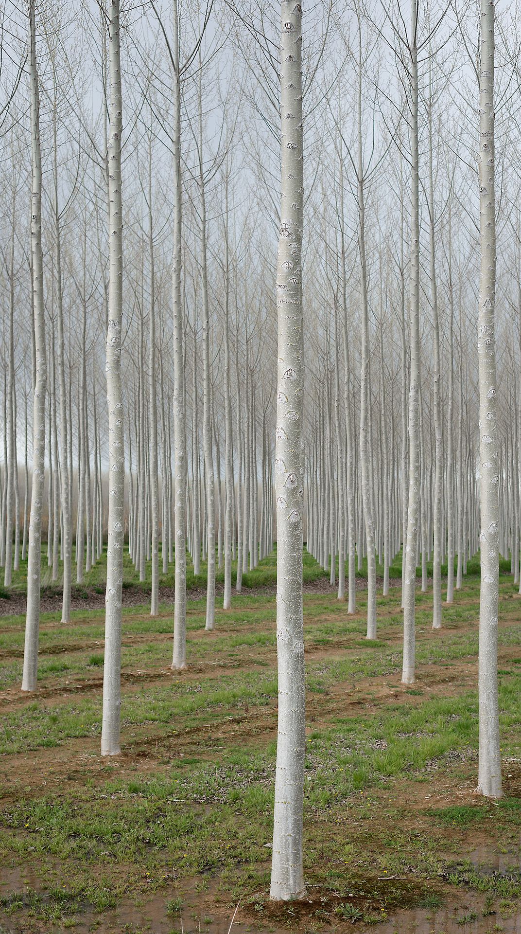 Geometry in unnatural nature. | Smithsonian Photo Contest | Smithsonian ...