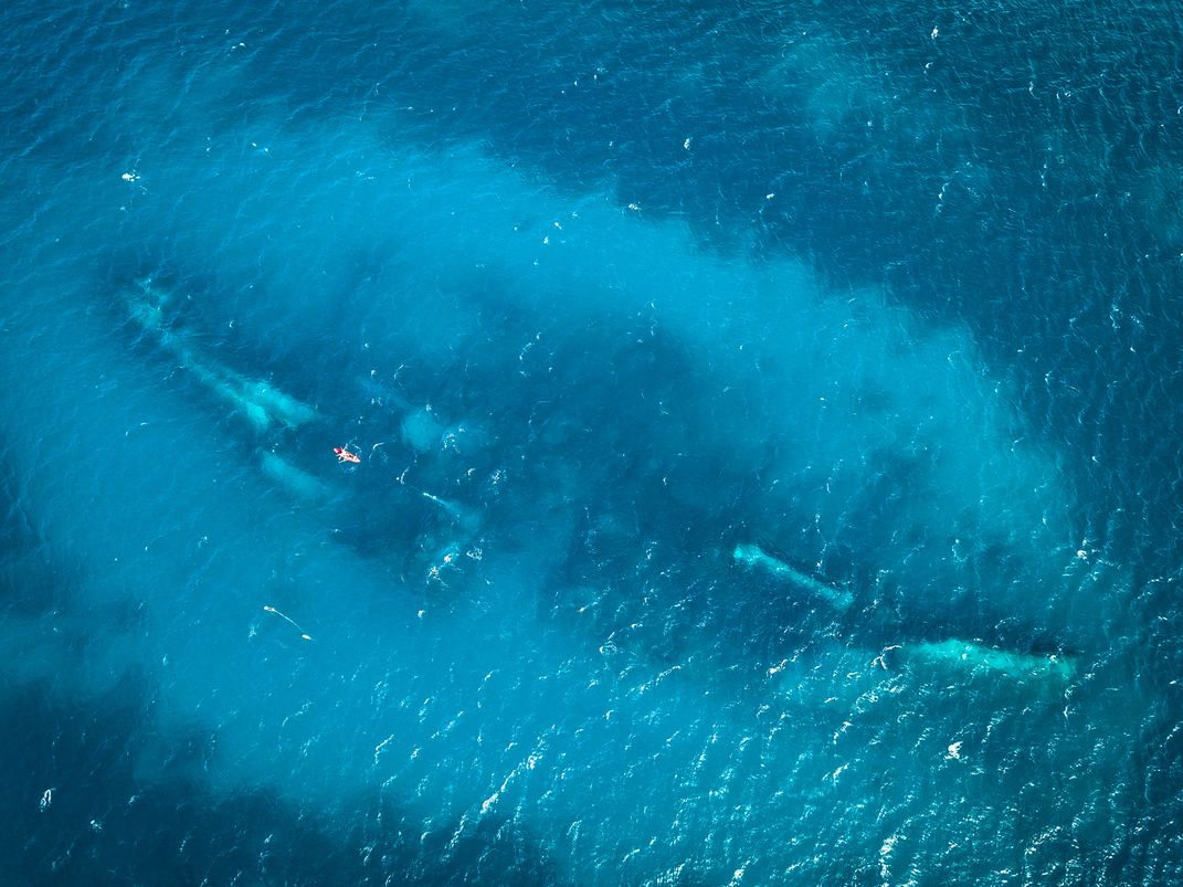 aerial view of Antilla shipwreck
