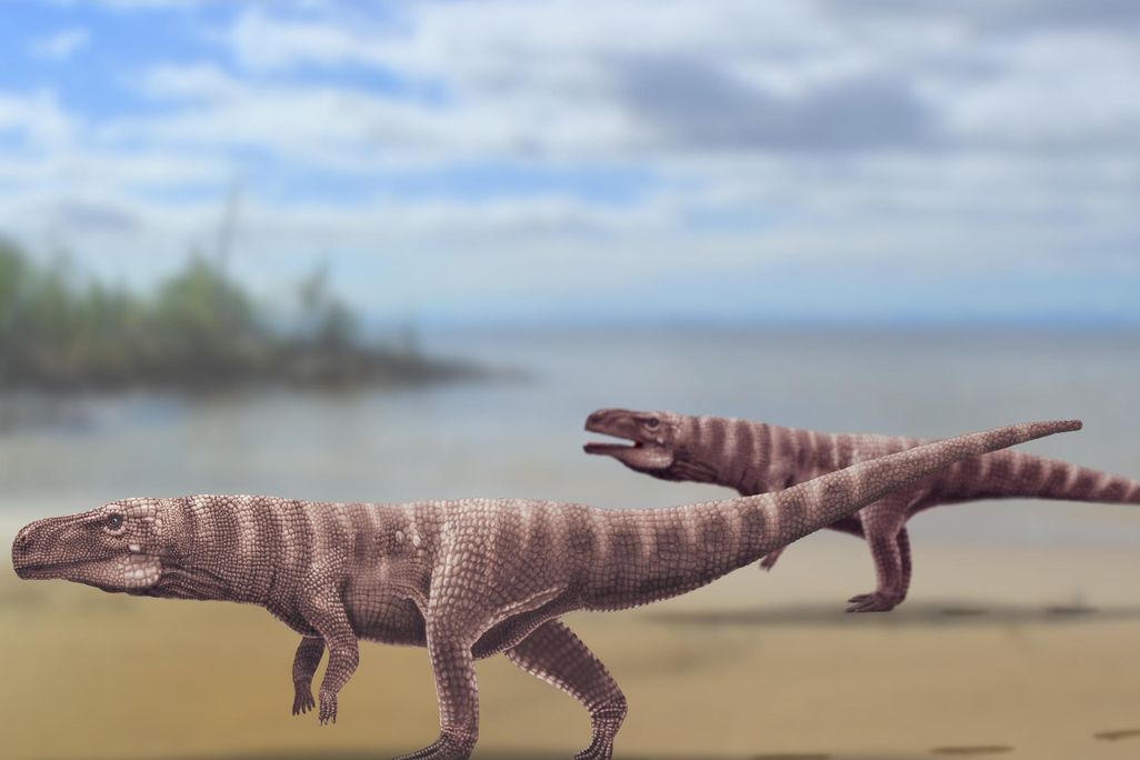 Reconstruction