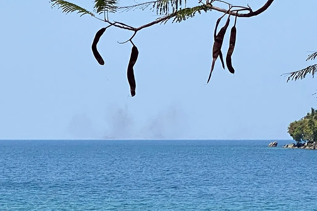 a swarm of lake flies over a lake