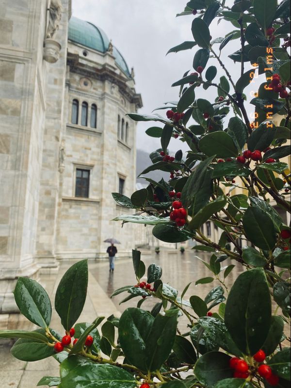 Rainy day in Como thumbnail