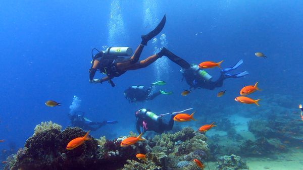 Group make diving thumbnail