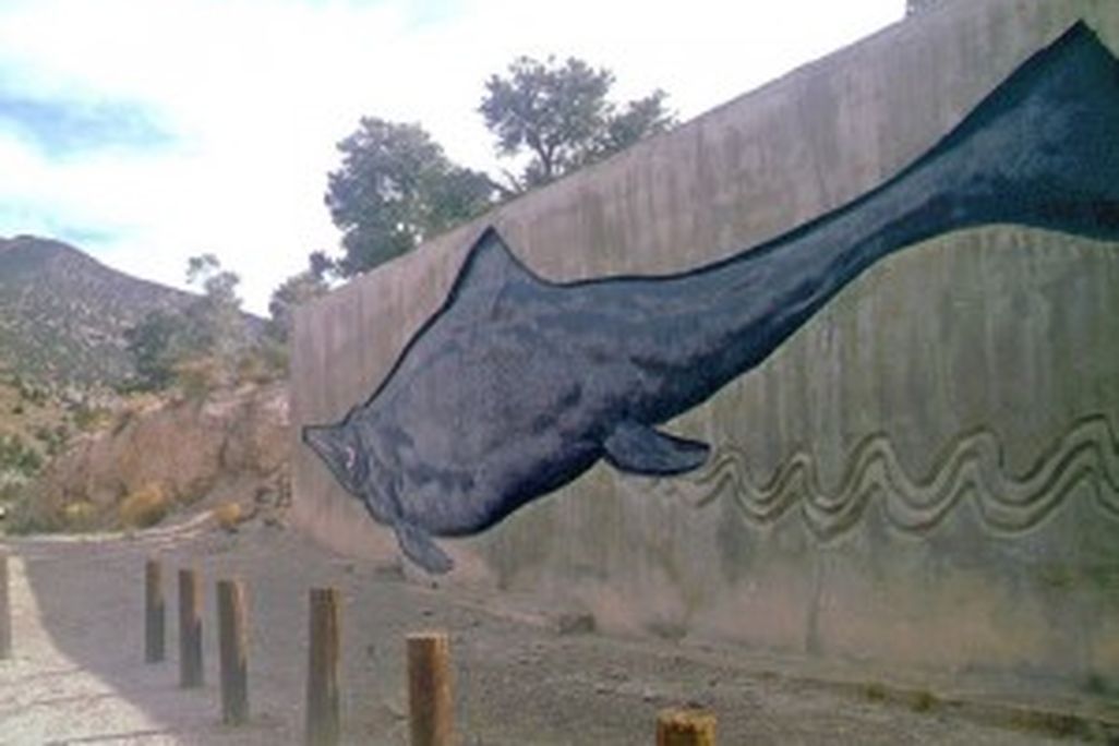 20110520083130ichtyosaur-mural-300x225.jpg