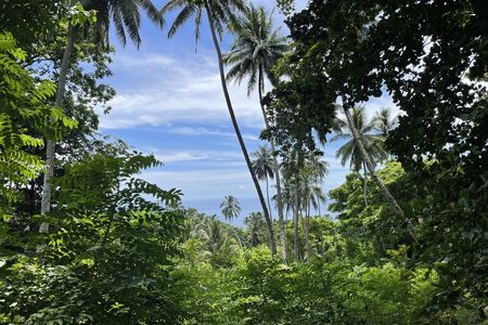 Six of the 12 islands, including Hiva Oa, are permanently inhabited.
