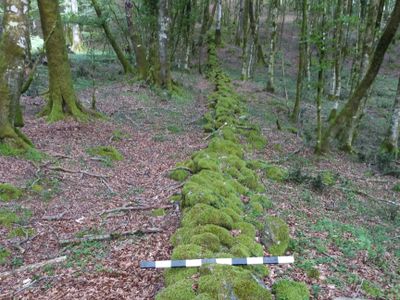 Roman Wall Built to Contain Spartacus' Forces Discovered in Italy image