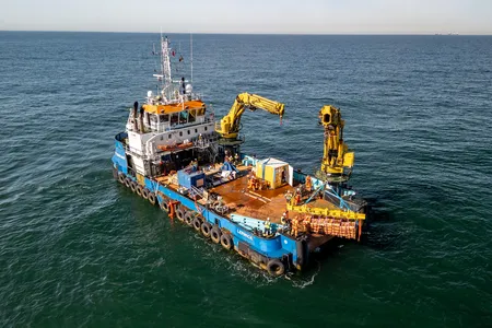 Researchers deposited the larvae into the hull of a shipwreck off the coast of Belgium.