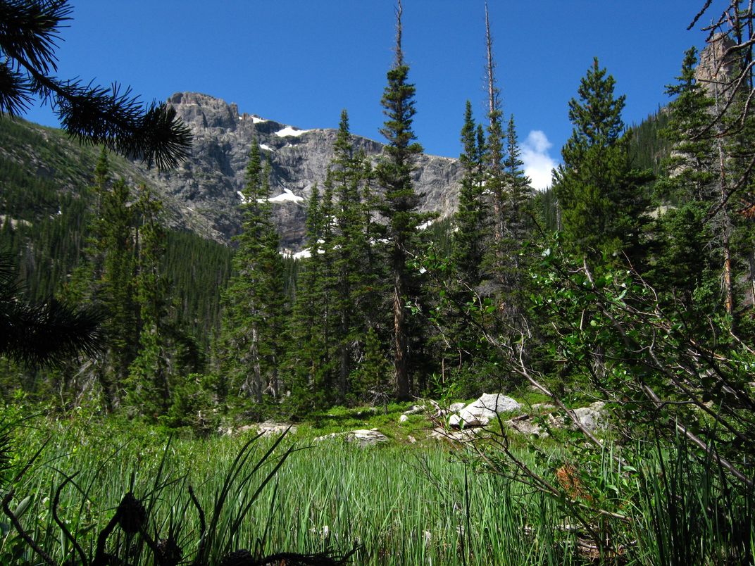 August 10, 2011 Rocky Mountain National Park, hiking to Spruce Lake via