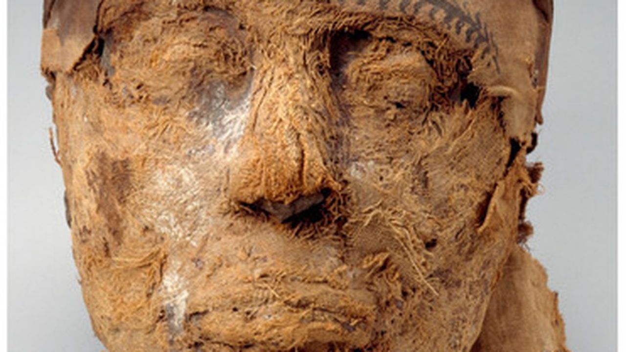 EGYPT ～エジプト～HUMAN EGYPT ～エジプト～HUMAN An ancient Egyptian's complete