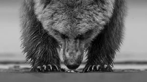 Hands Down thumbnail