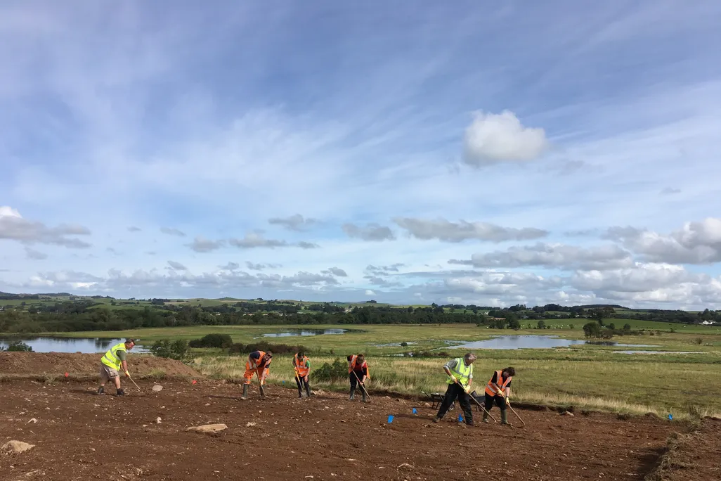 volunteers