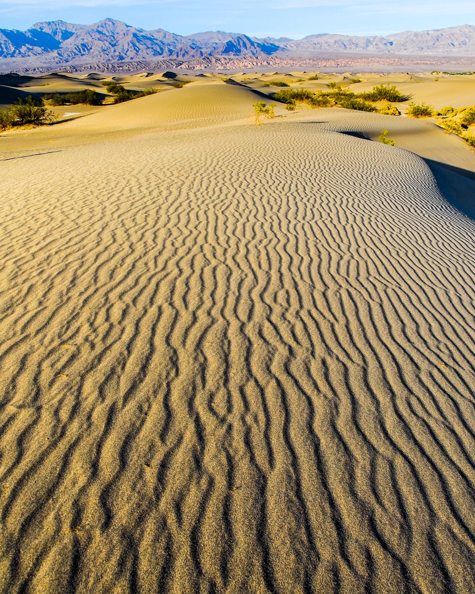 Distant Escape - Across the Sand Dunes | Smithsonian Photo Contest ...