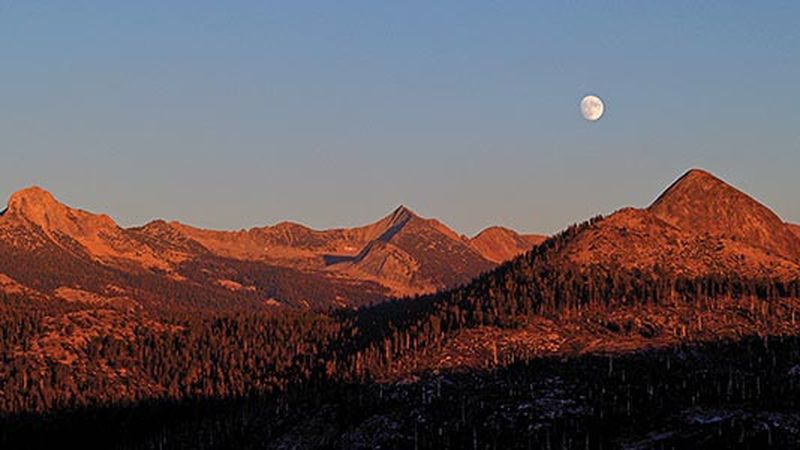 Under the autumn 2025 moon watch online