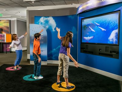 In “Spread Your Wings,” part of the new exhibit Above and Beyond, three Museum visitors learn about flight by moving their bodies to control birds on a screen. 