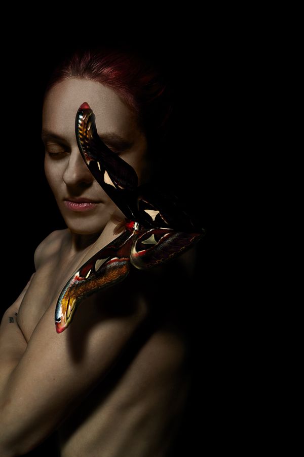 Dreaming Atlas — Between Butterfly and Human thumbnail