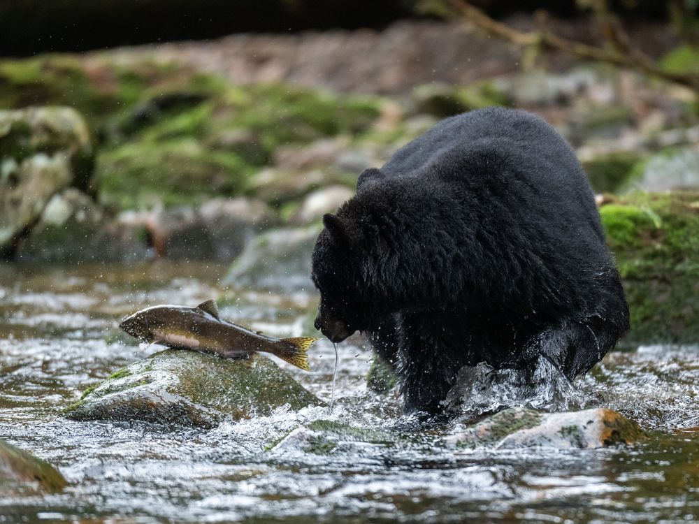 Like a fish out of water | Smithsonian Photo Contest | Smithsonian Magazine