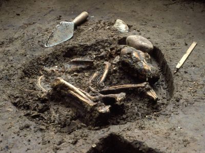 A dog buried in Western Illinois 10,000 years ago is one of the oldest dogs known in the Americas, and the oldest dog burial in the world. These native American dogs were almost entirely wiped out when European colonists arrived.