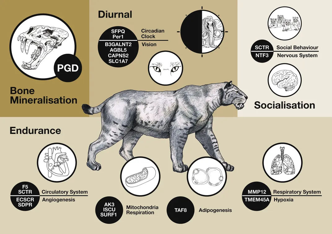 ice age animals names