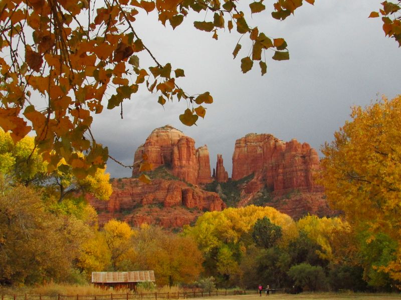 Peak fall colors at Cathedral Rock in Sedona, Arizona Smithsonian