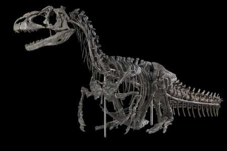 NMNH-Exhibits-DT-2017-00295 (1) (1).jpg