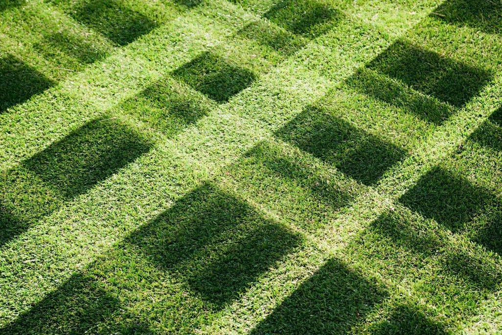 Lawn