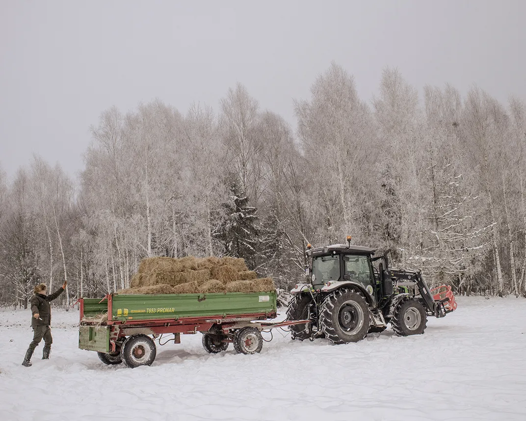 A truckload of hay