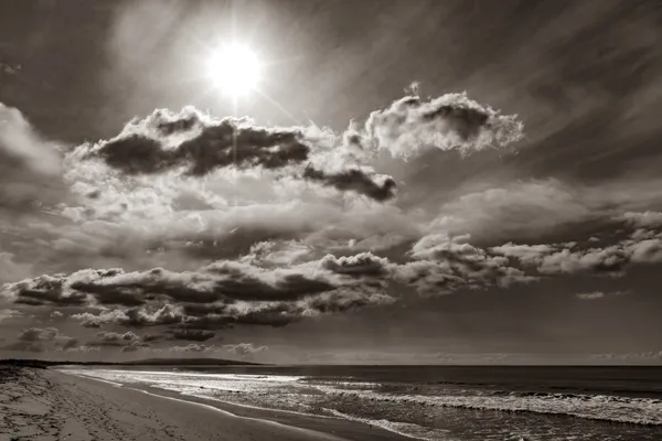 Santa Monica Sepia thumbnail