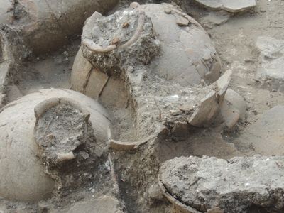 A closeup of jars, probably once filled with wine, at Tel Kabri in modern-day Israel.