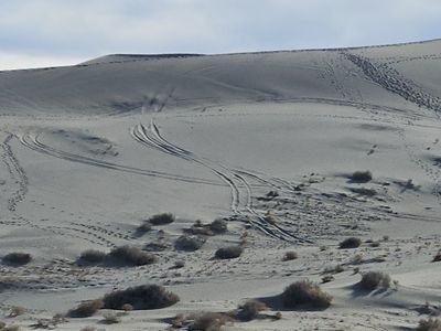 The tire tracks, which cover more than two miles, were discovered in late December.