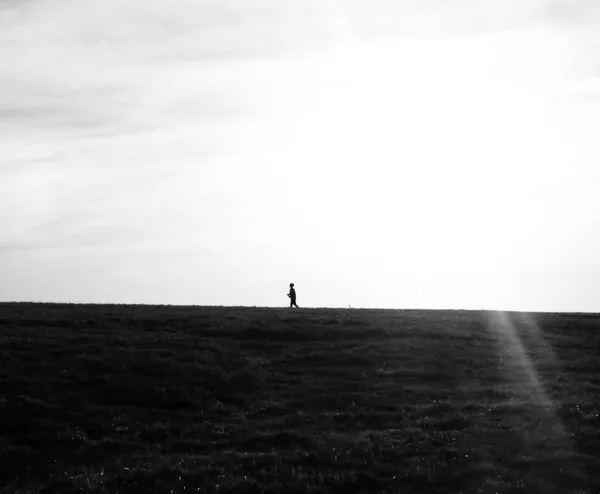 Solitary Stroll thumbnail