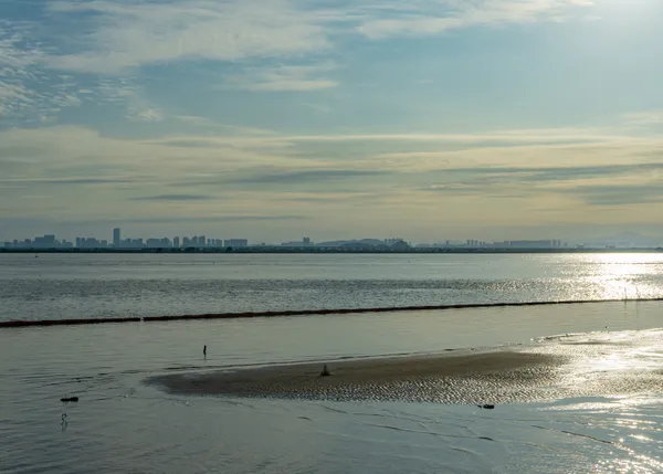 Wetlands on the edge of the city thumbnail